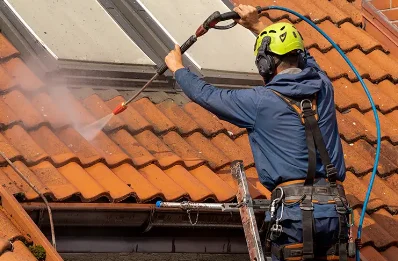 Démoussage et hydrofuge de toiture à Blanzay